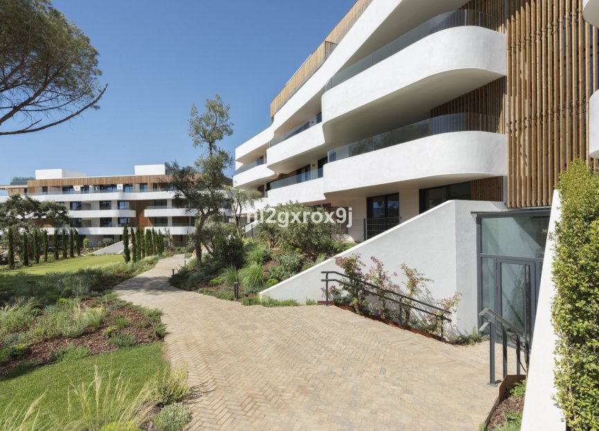 Resale - Apartment - Middle Floor Apartment - Sotogrande