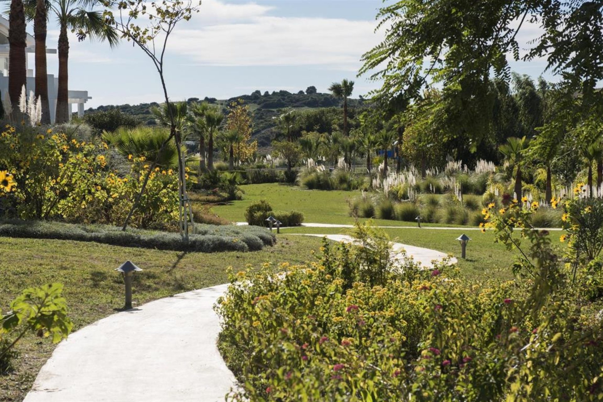 Resale - Apartment - Penthouse - Casares - Casares Playa