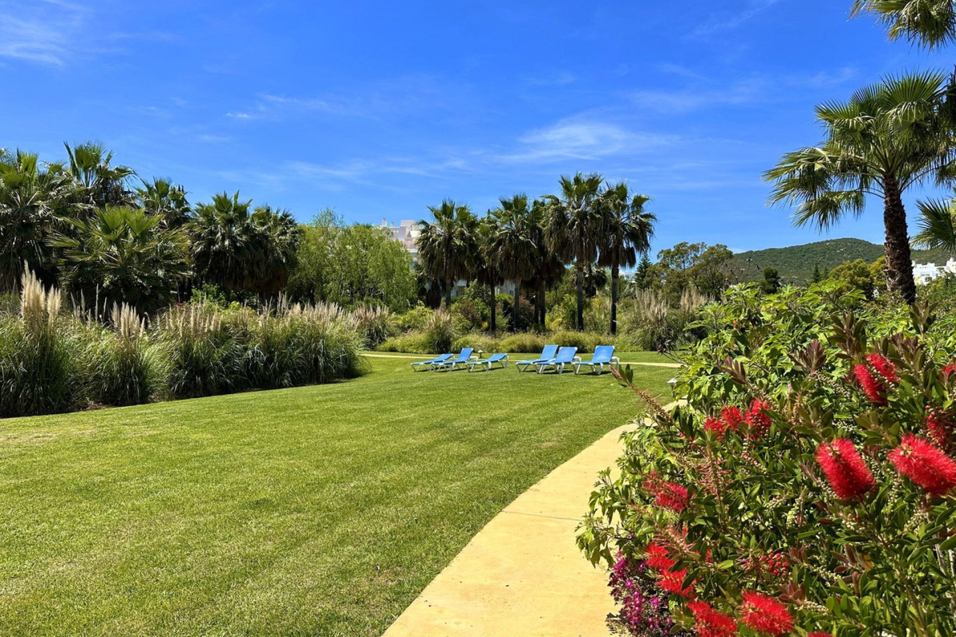 Resale - Apartment - Penthouse - Casares - Casares Playa