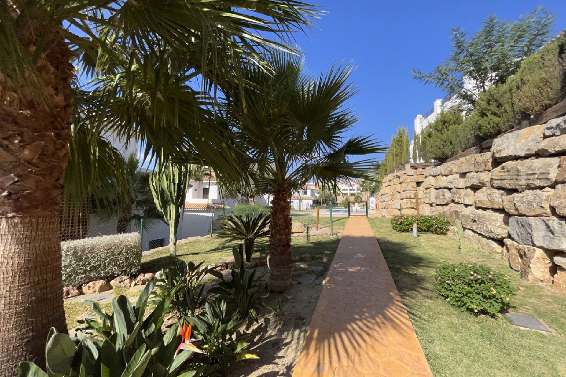 Resale - Apartment - Penthouse - Casares - Casares Playa