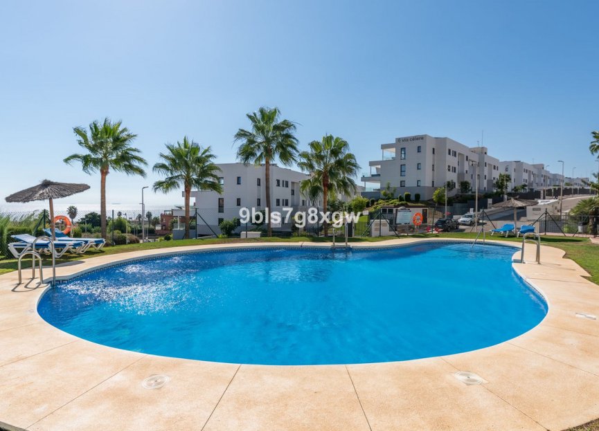 Resale - Apartment - Penthouse - Casares - Doña Julia