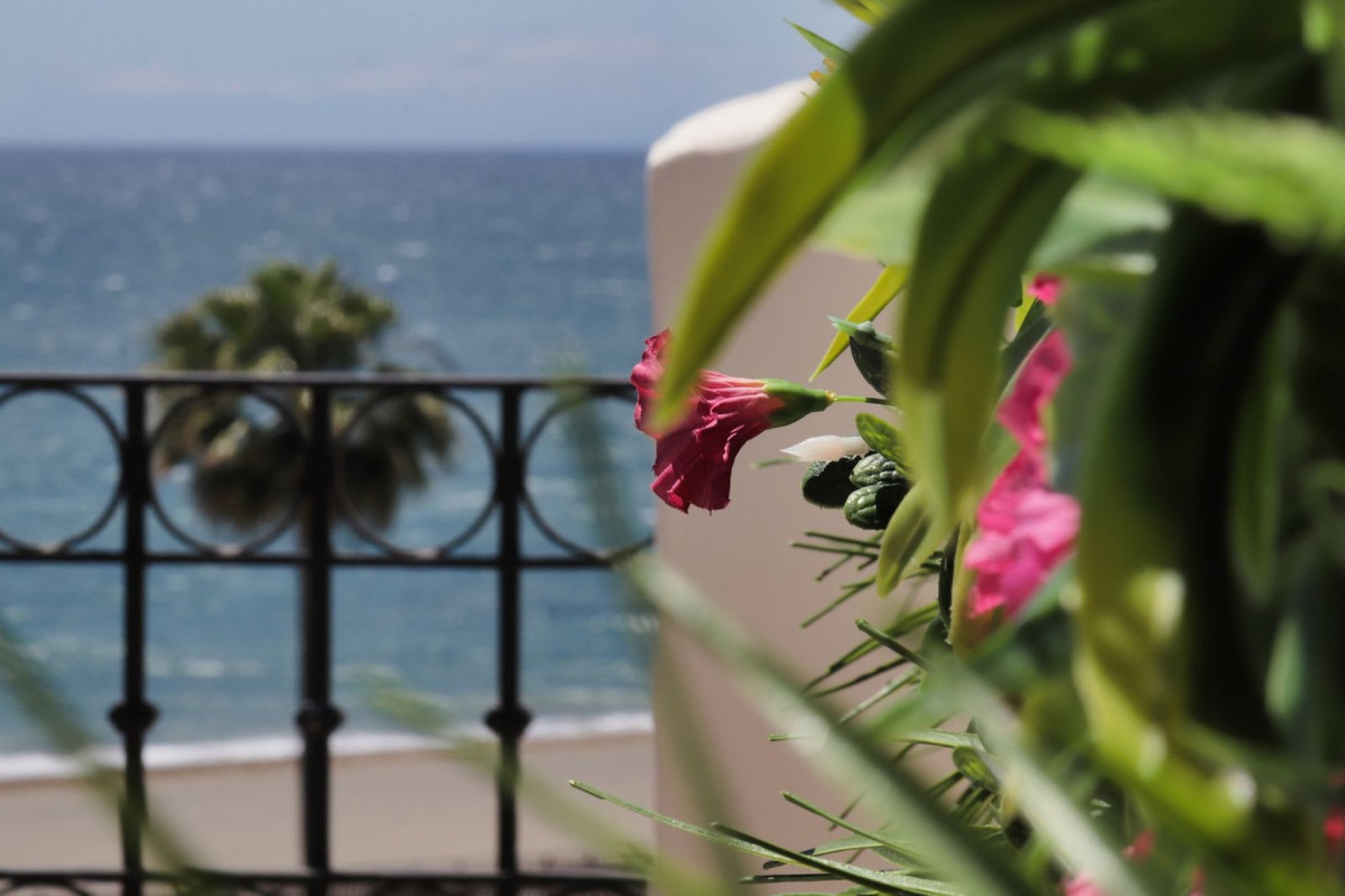 Resale - Apartment - Penthouse Duplex - Estepona - Estepona Centro