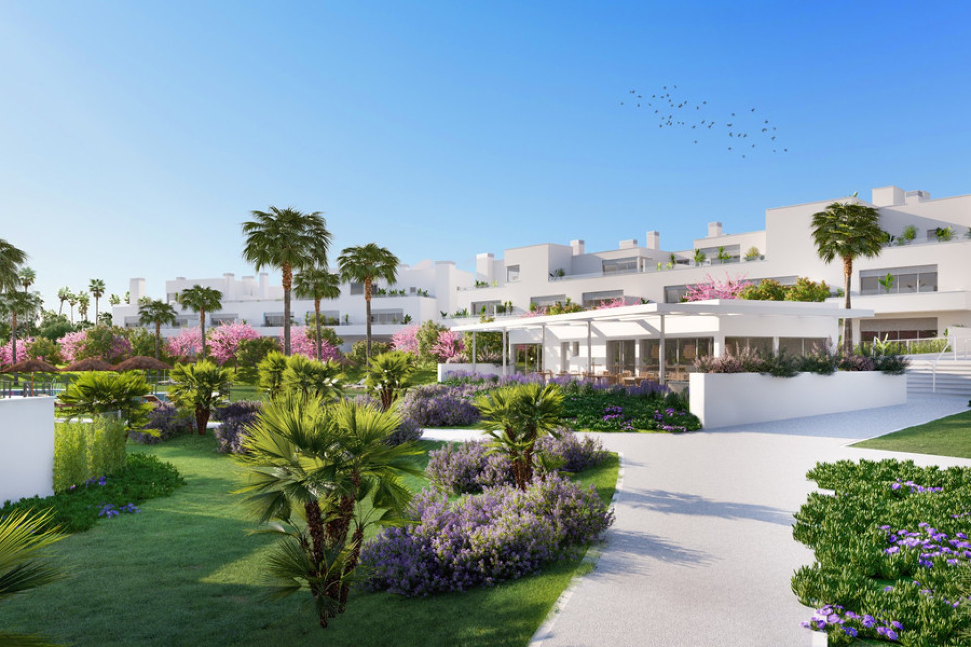 Resale - Apartment - Penthouse - Estepona - Cancelada