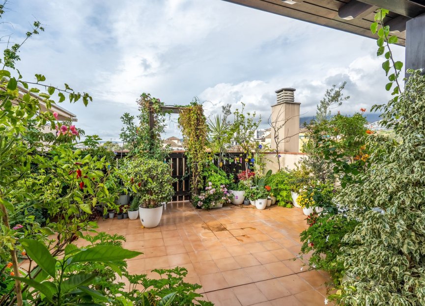 Resale - Apartment - Penthouse - Estepona - Estepona Centro