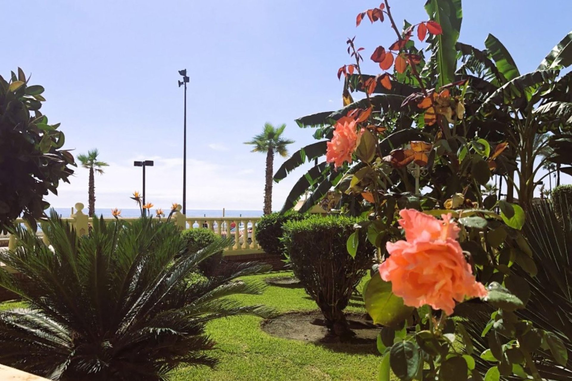 Resale - Apartment - Penthouse - Fuengirola - Fuengirola Centro