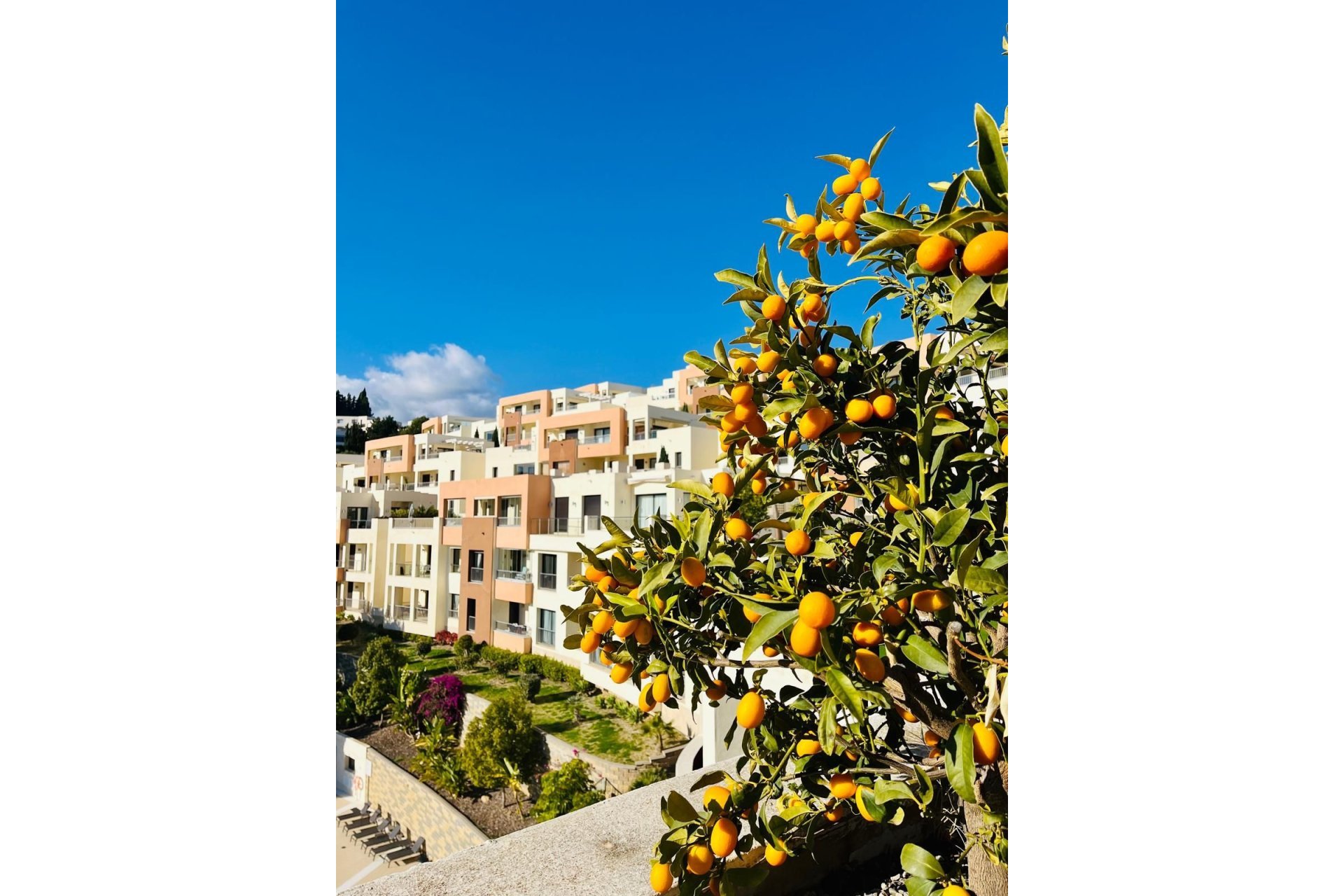 Resale - Apartment - Penthouse - Marbella - Altos de los Monteros