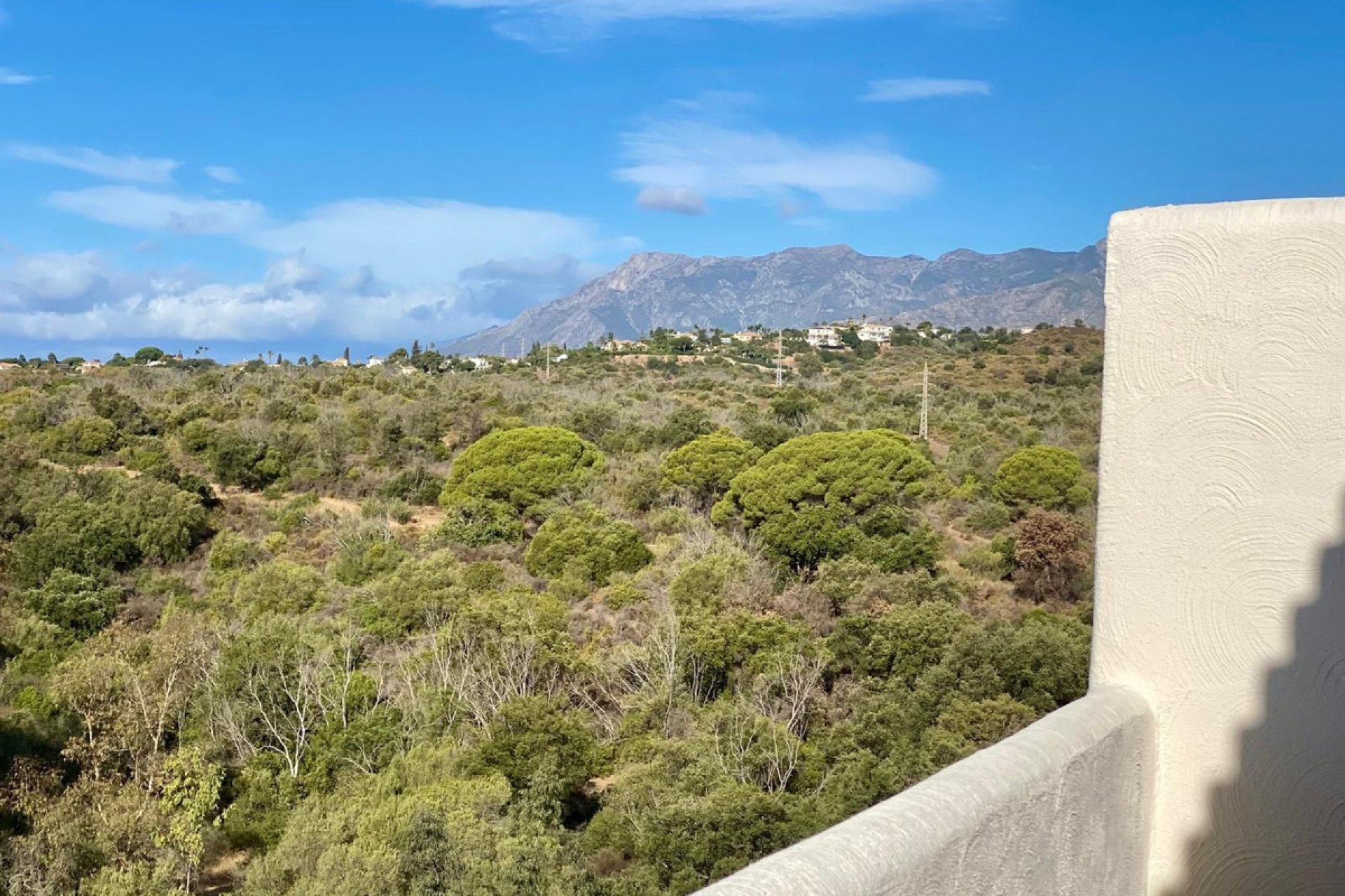 Resale - Apartment - Penthouse - Marbella - Elviria