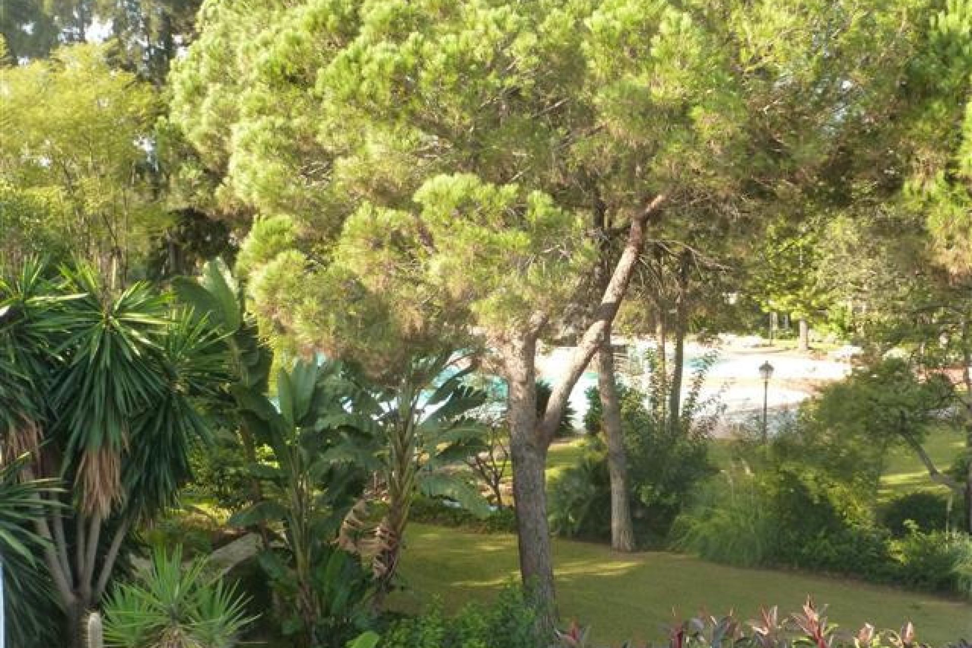 Resale - Apartment - Penthouse - Marbella - Guadalmina Baja