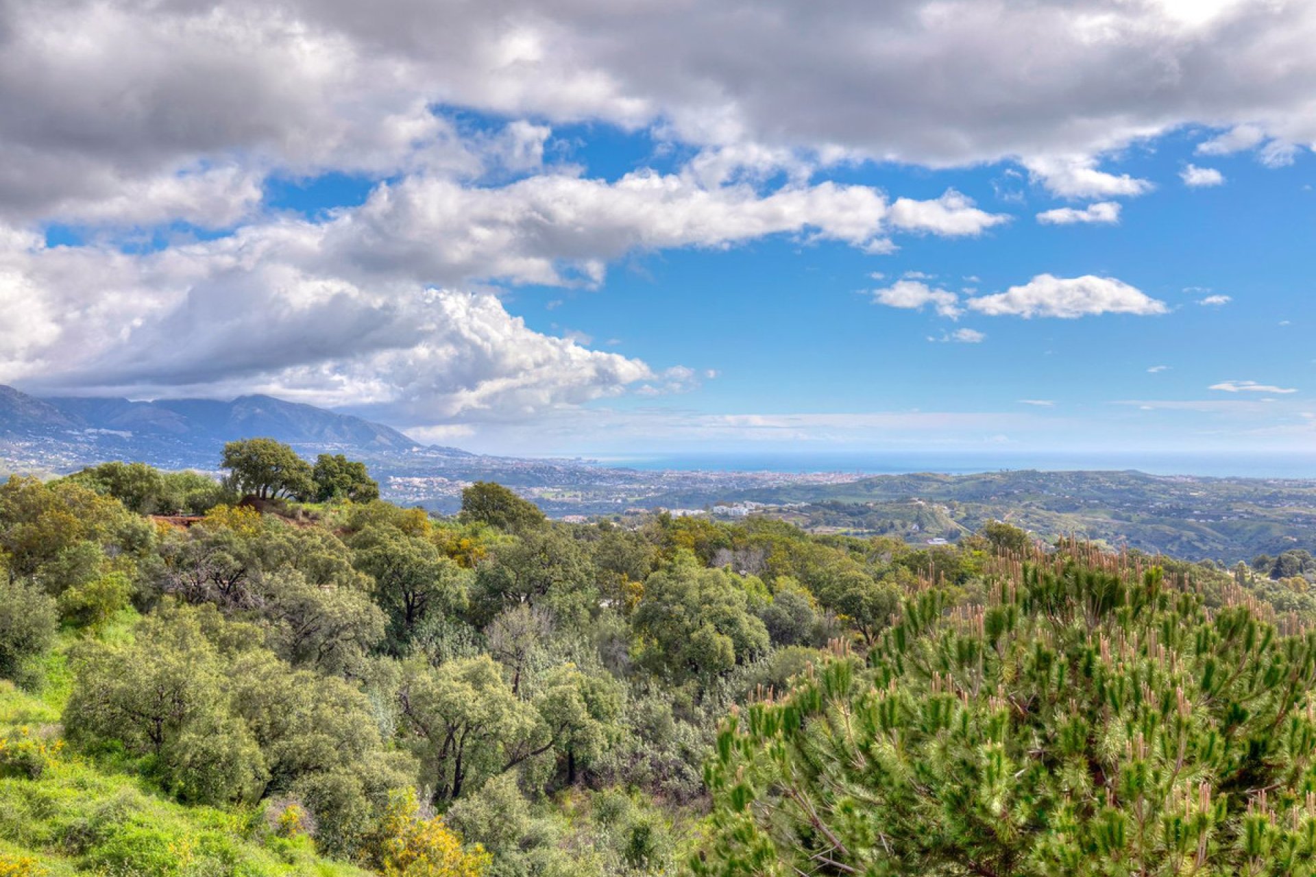 Resale - Apartment - Penthouse - Marbella - La Mairena