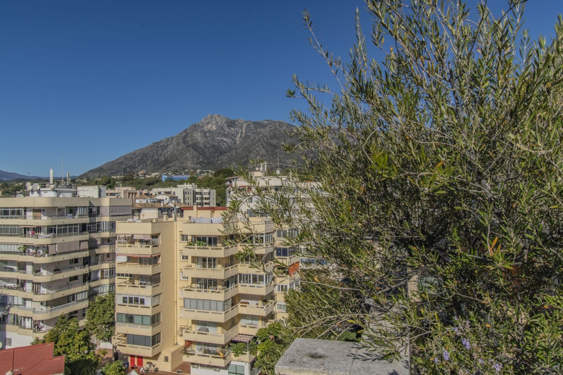 Resale - Apartment - Penthouse - Marbella - Marbella Centro