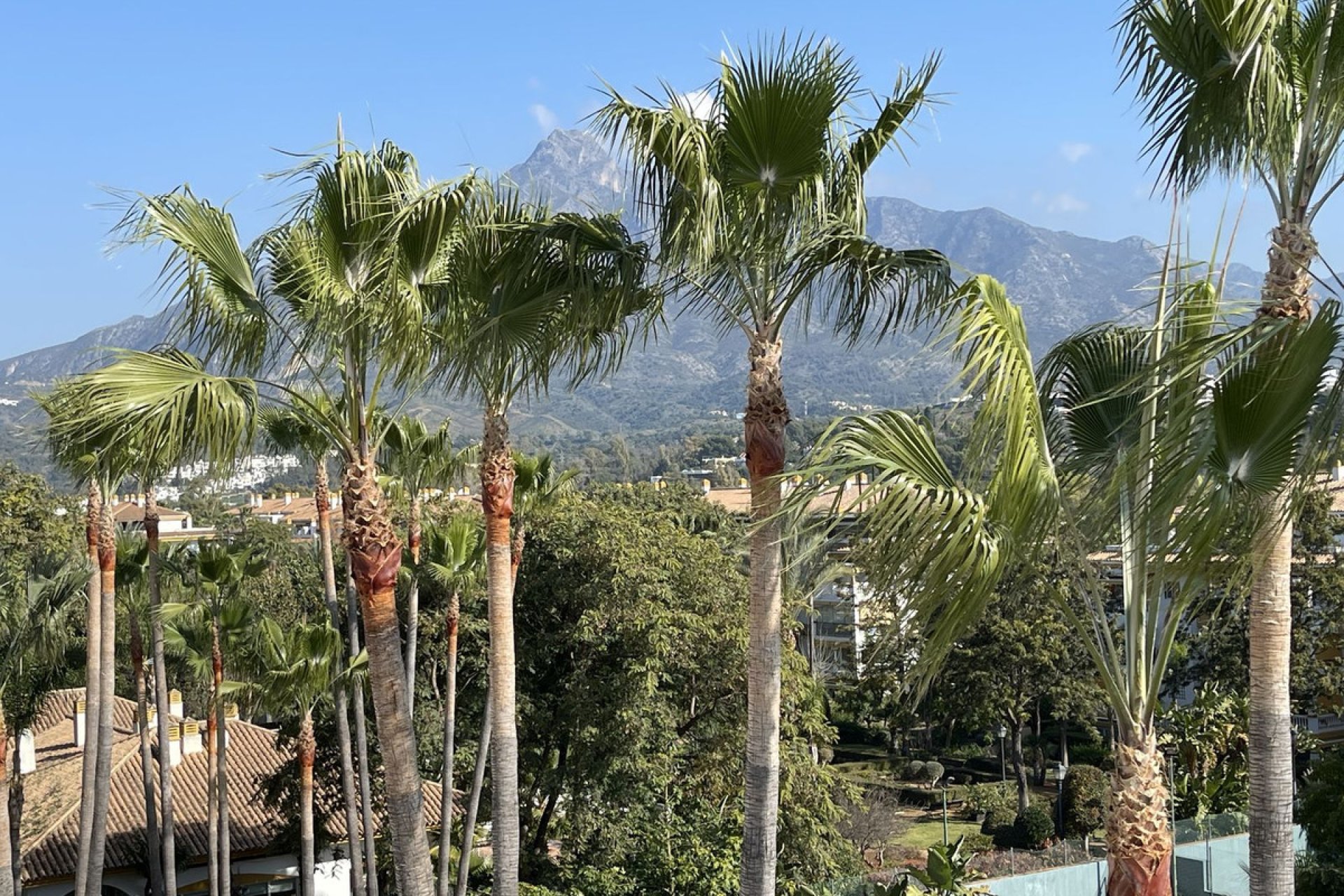 Resale - Apartment - Penthouse - Marbella - Nueva Andalucia