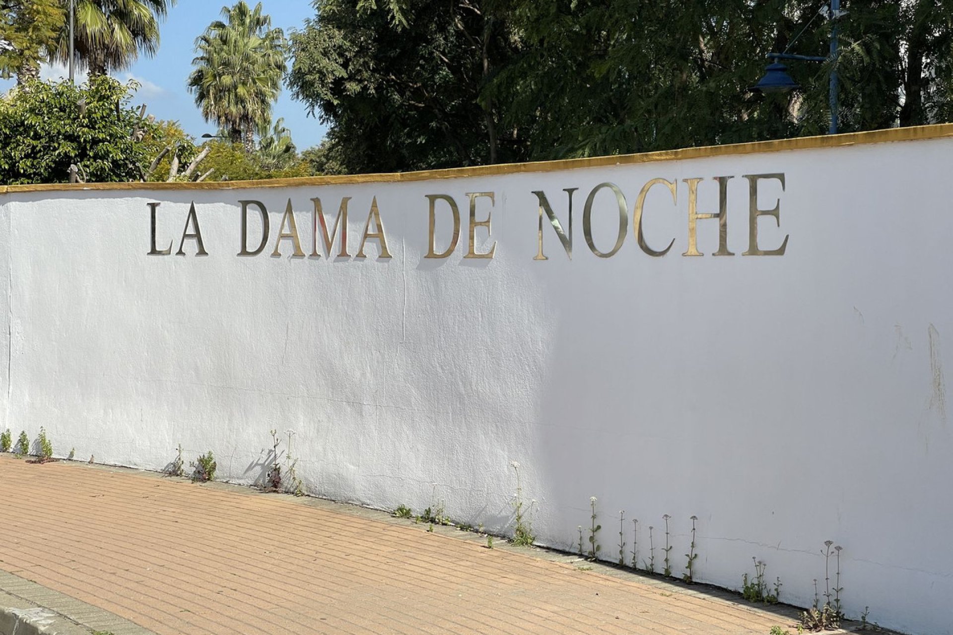 Resale - Apartment - Penthouse - Marbella - Nueva Andalucia