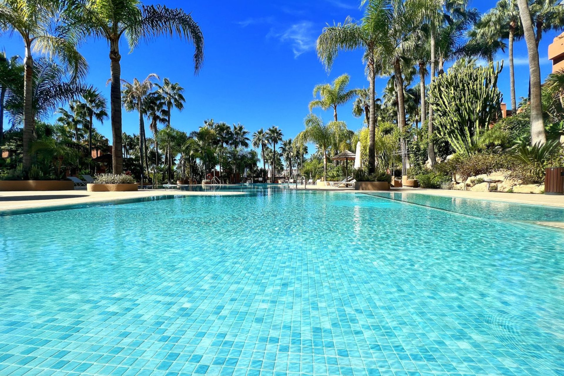 Resale - Apartment - Penthouse - Marbella - Nueva Andalucia