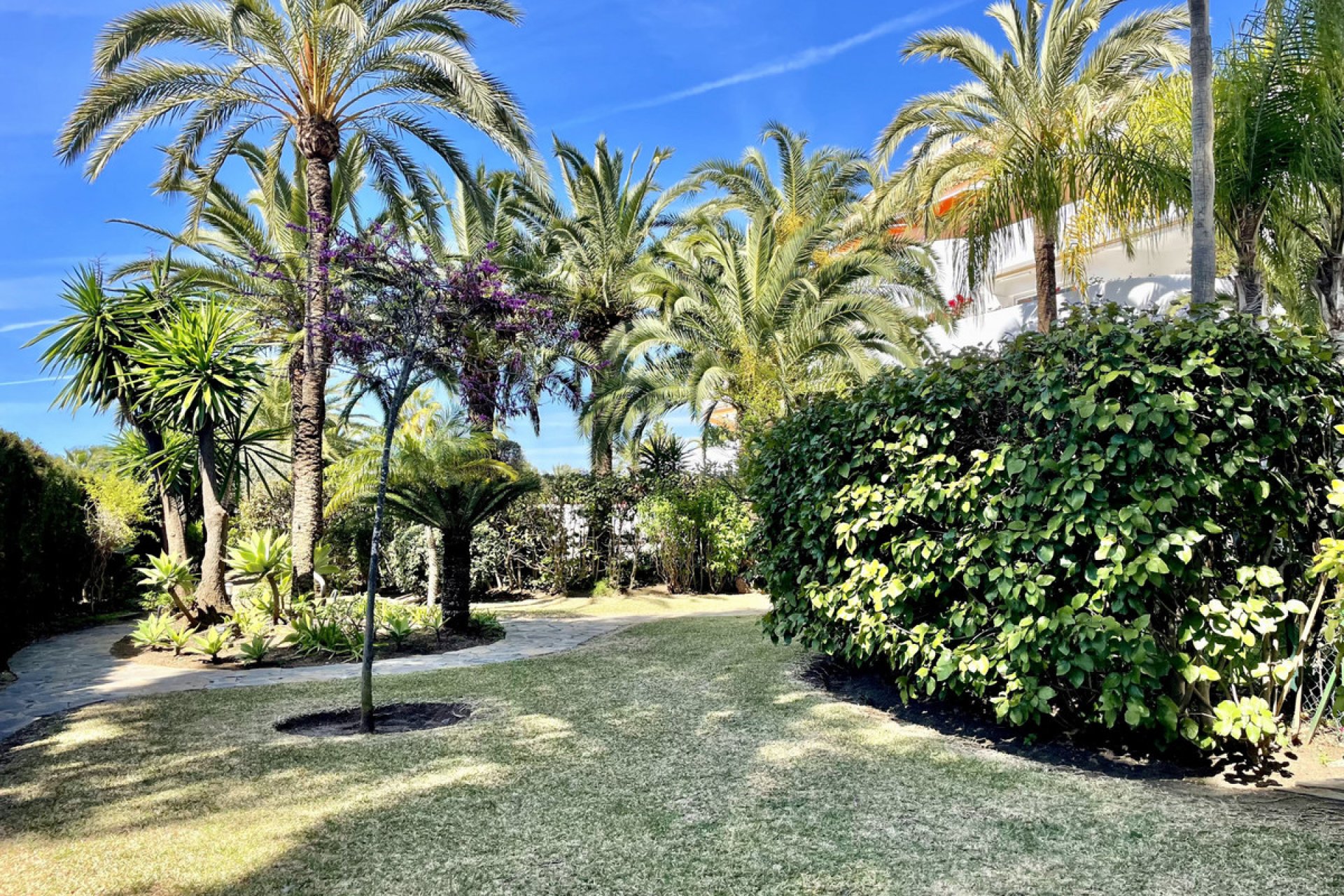 Resale - Apartment - Penthouse - Marbella - The Golden Mile