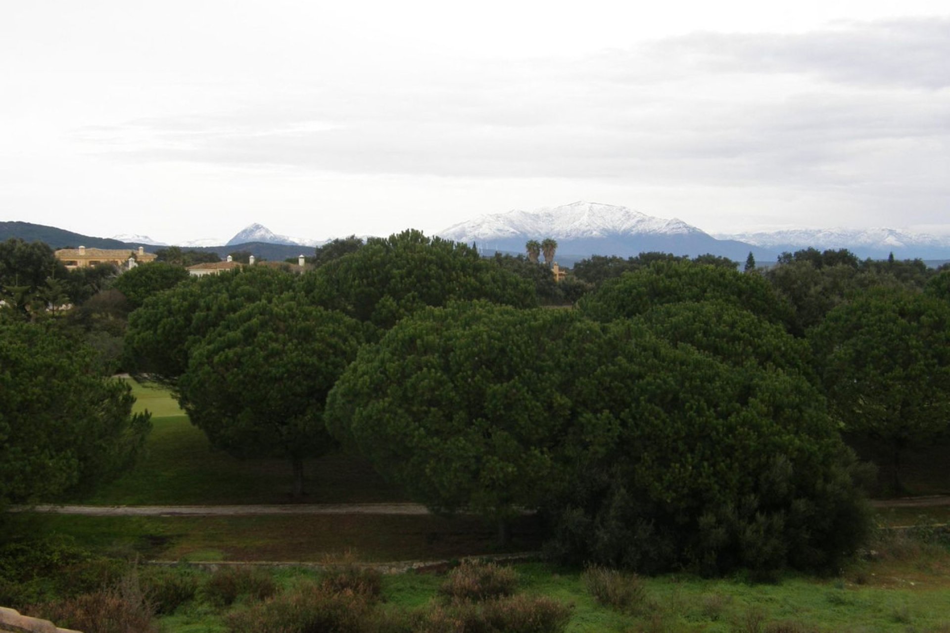 Resale - Apartment - Penthouse - San Roque Club