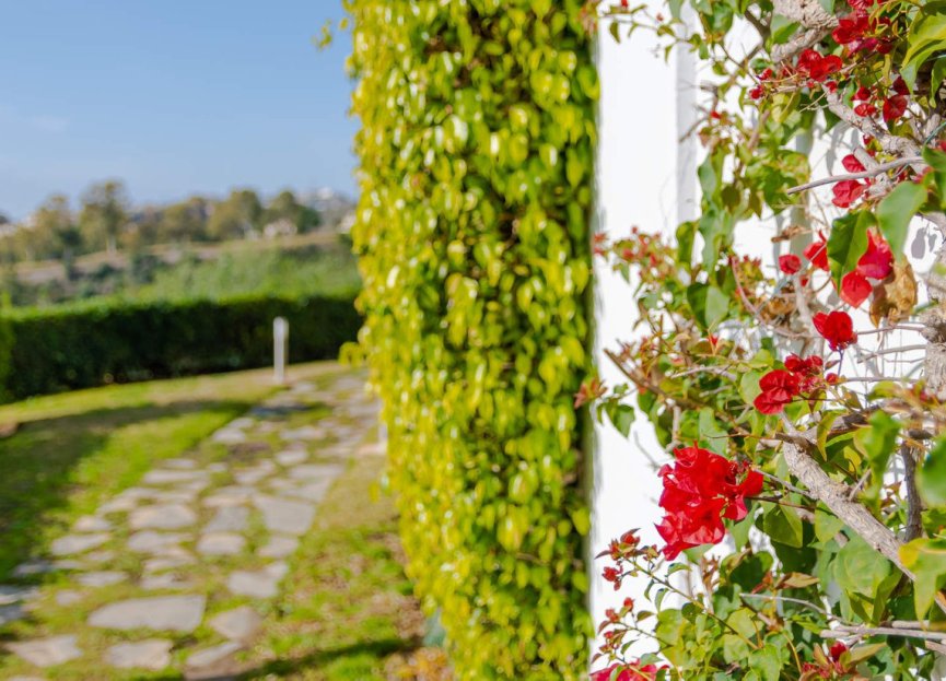 Resale - Apartment - Top Floor Apartment - Benahavís - Los Arqueros