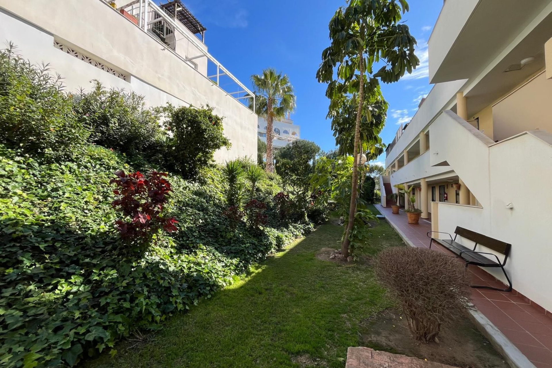 Resale - Apartment - Top Floor Apartment - Benalmádena - Benalmadena Costa