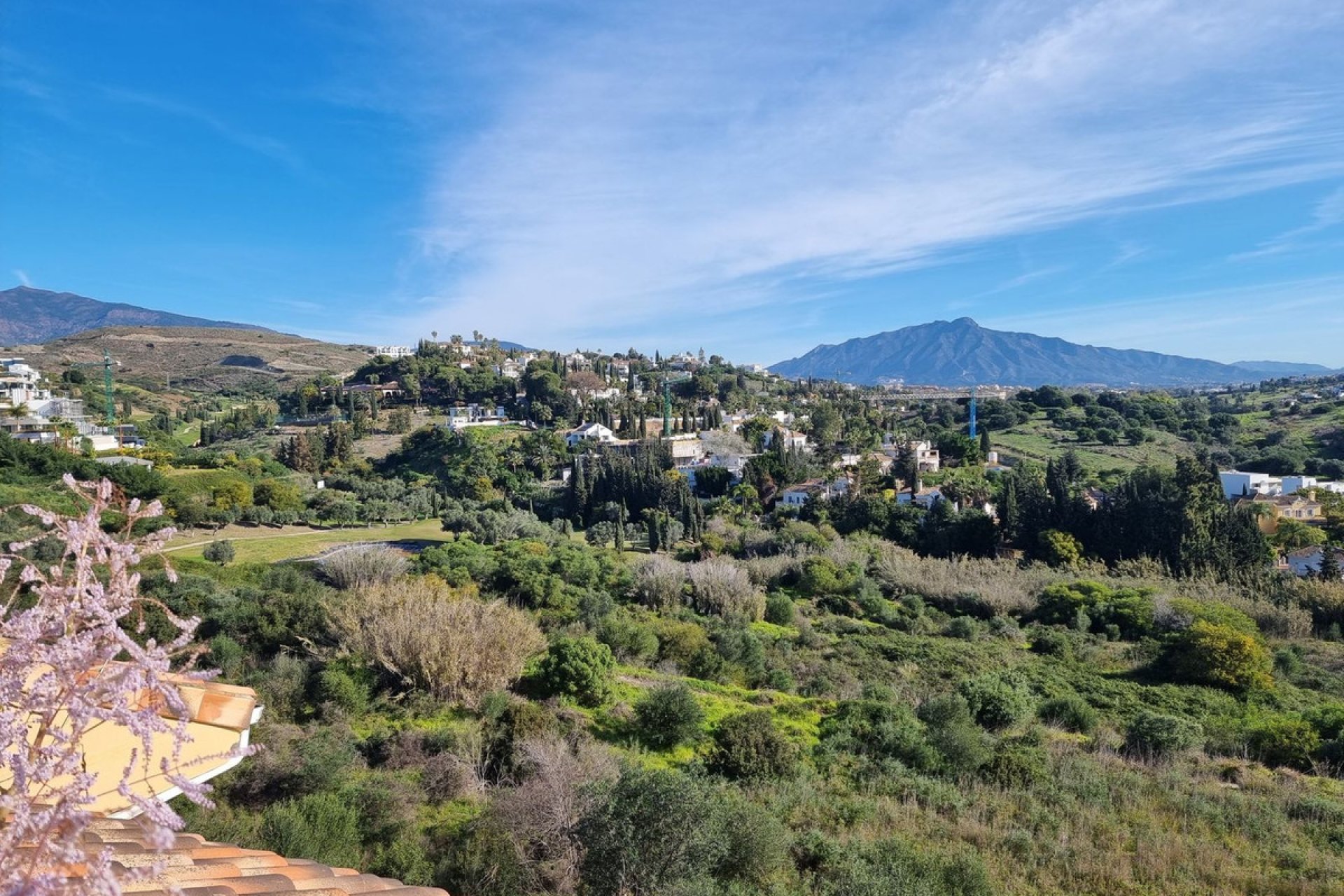 Resale - Apartment - Top Floor Apartment - Estepona - Estepona Centro