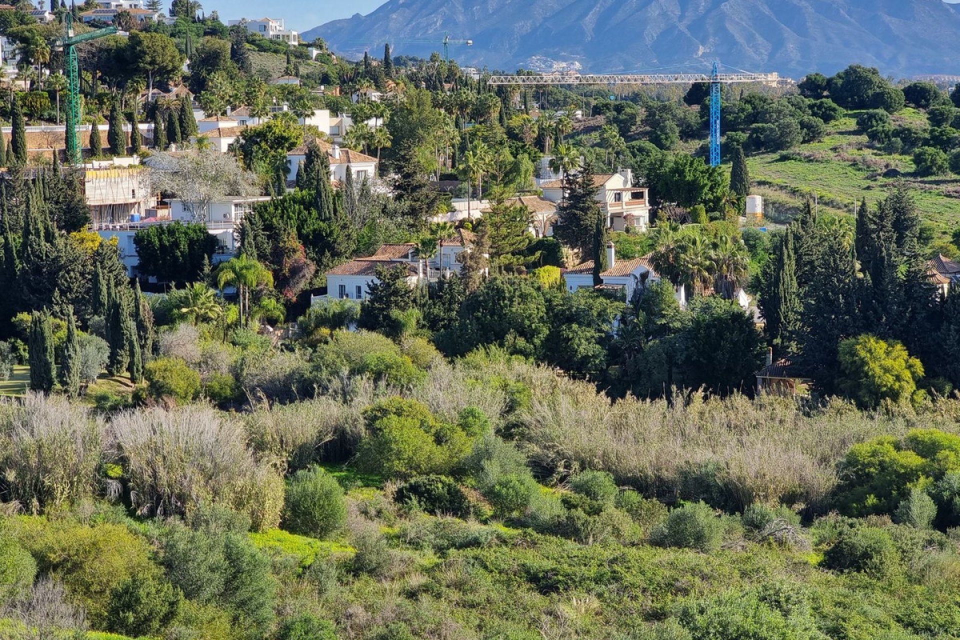 Resale - Apartment - Top Floor Apartment - Estepona - Estepona Centro