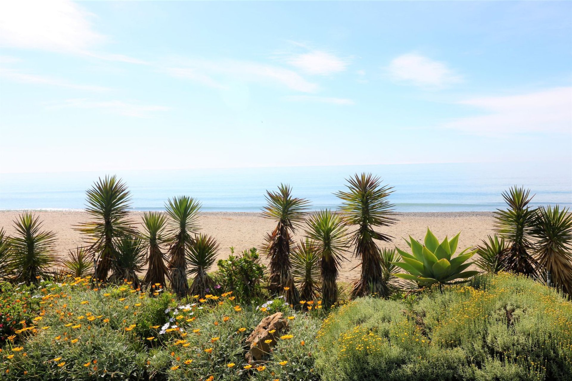 Resale - Apartment - Top Floor Apartment - Estepona - New Golden Mile