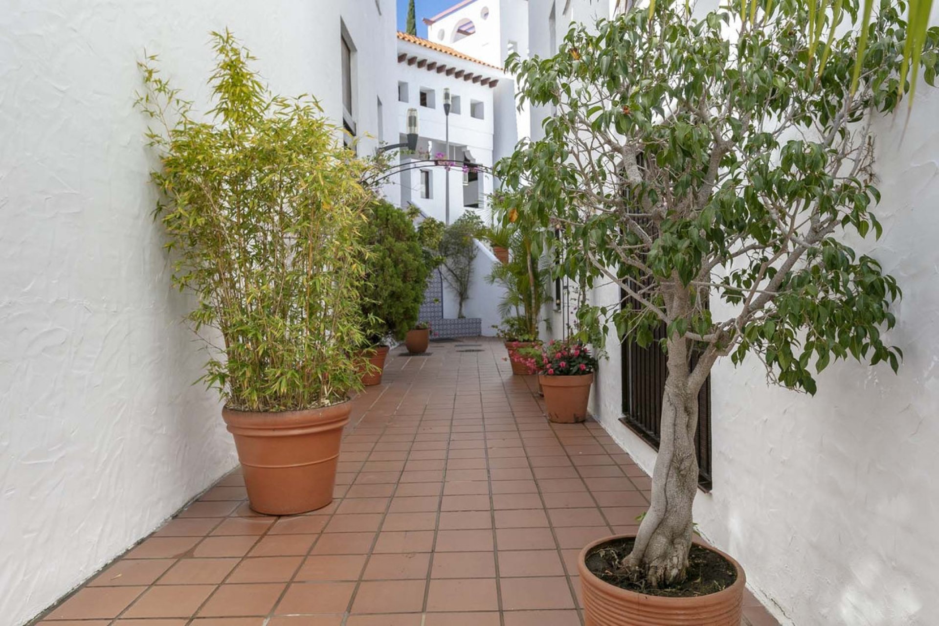 Resale - Apartment - Top Floor Apartment - Marbella - Nueva Andalucia