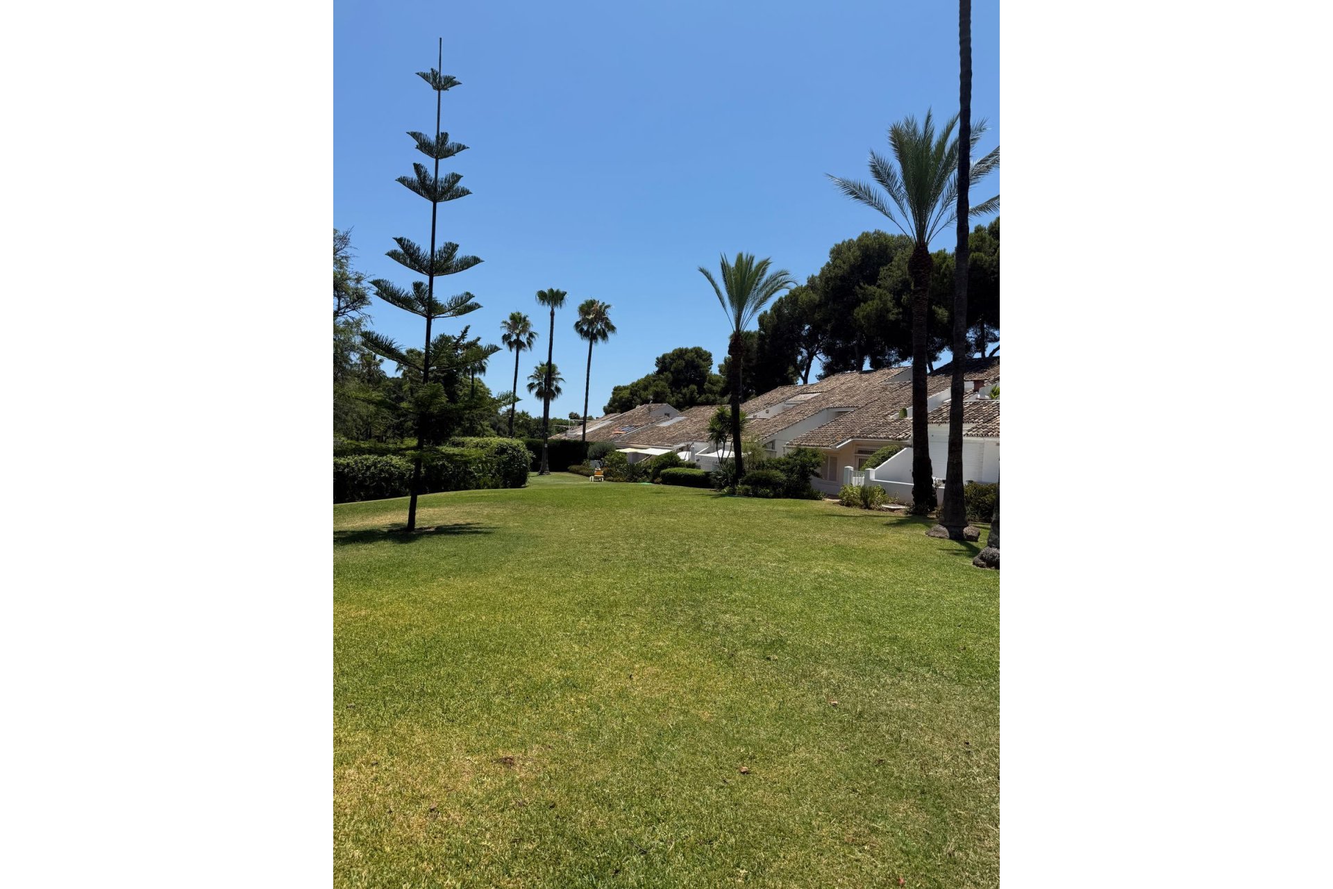 Resale - Apartment - Top Floor Apartment - Marbella - Nueva Andalucia