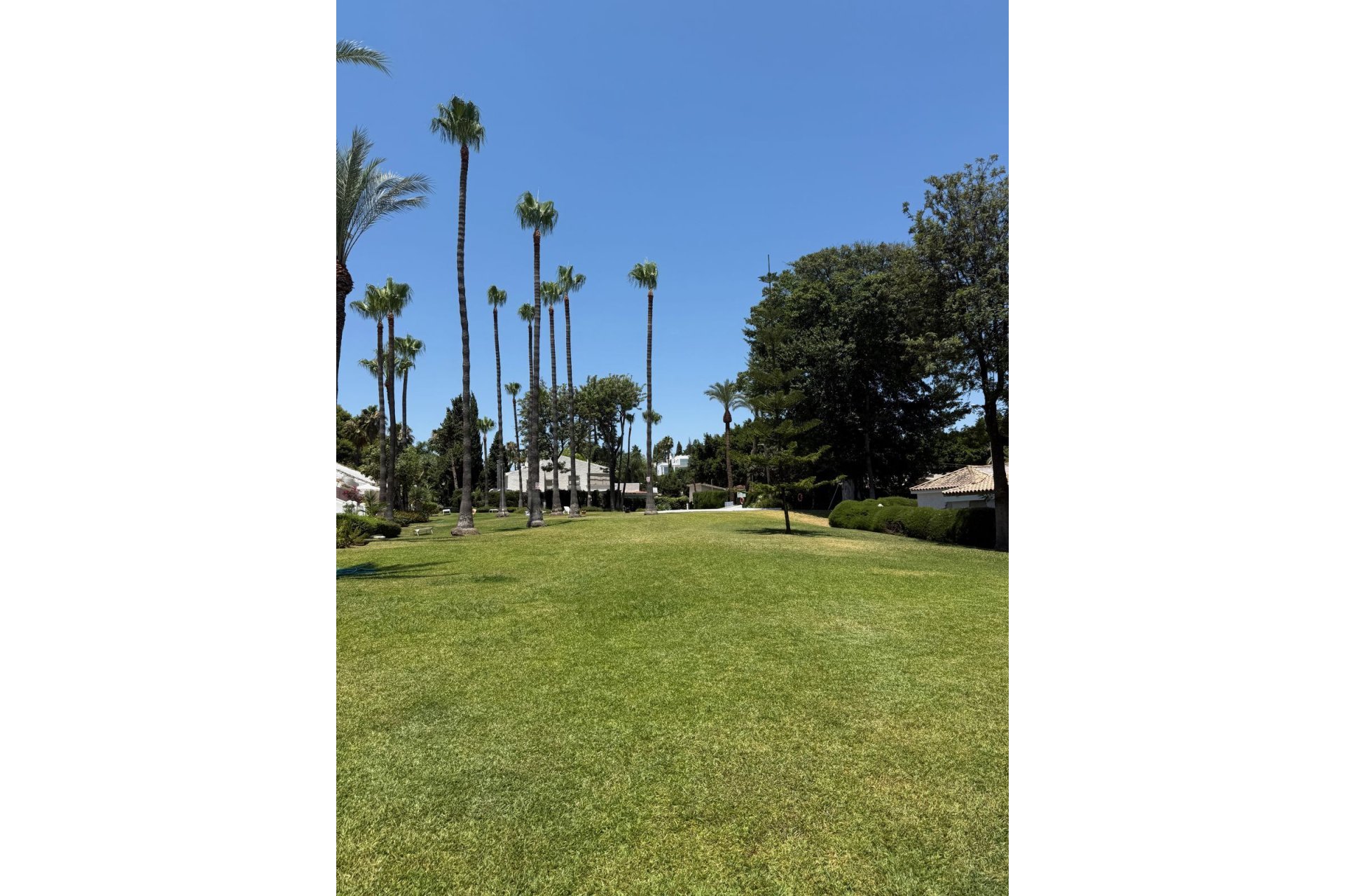 Resale - Apartment - Top Floor Apartment - Marbella - Nueva Andalucia