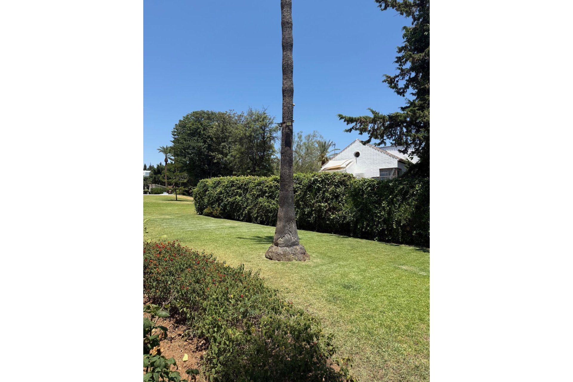 Resale - Apartment - Top Floor Apartment - Marbella - Nueva Andalucia