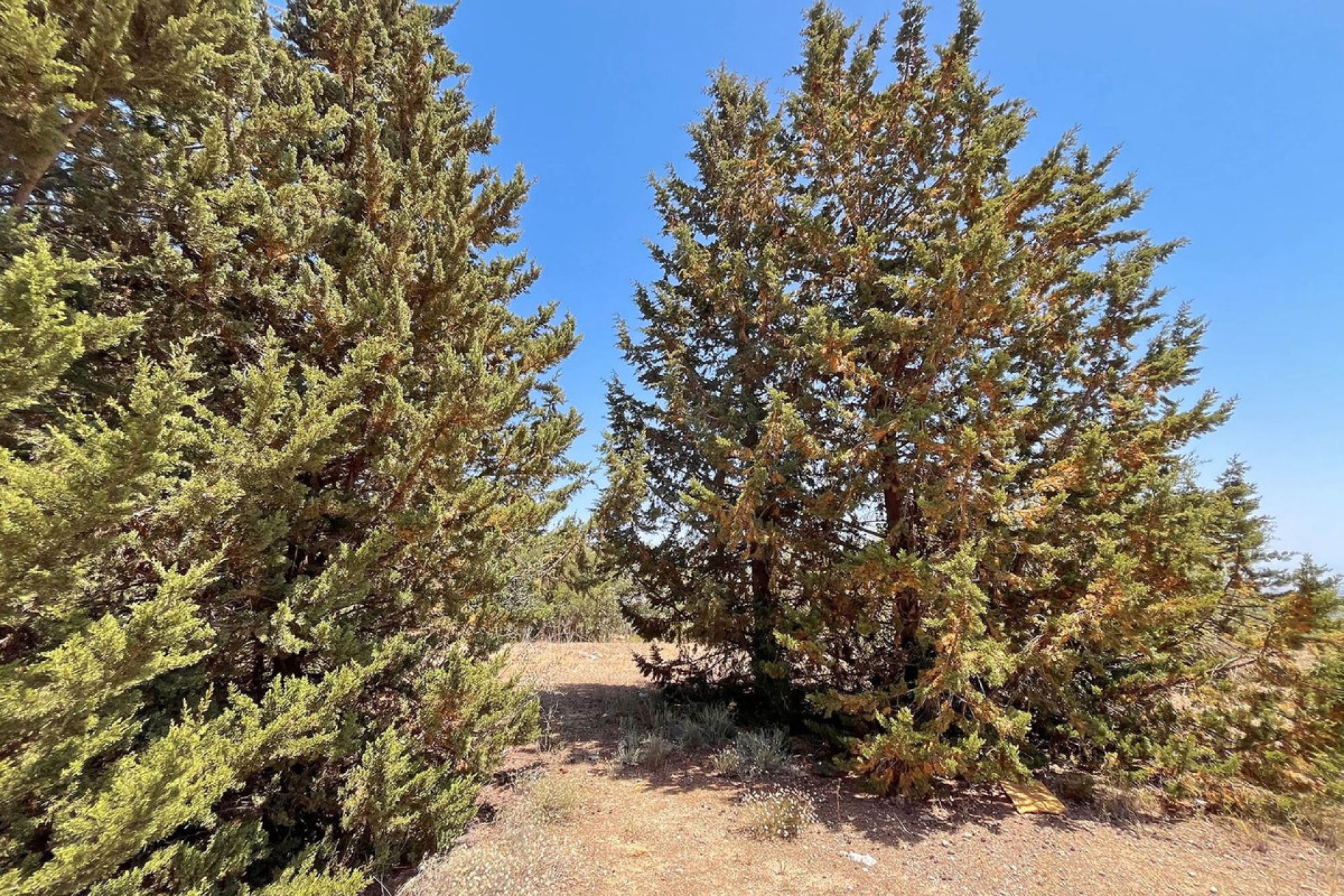 Resale - Commercial - Alhaurín de la Torre