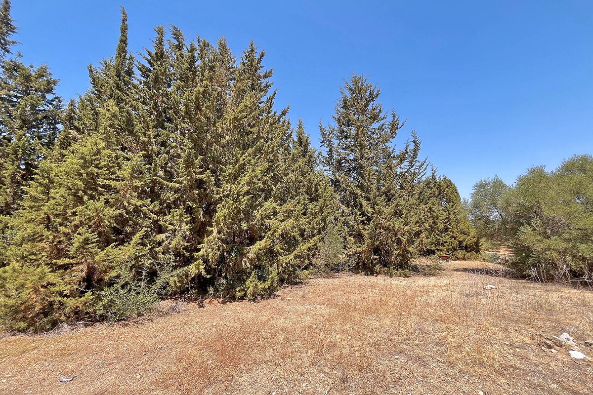 Resale - Commercial - Alhaurín de la Torre