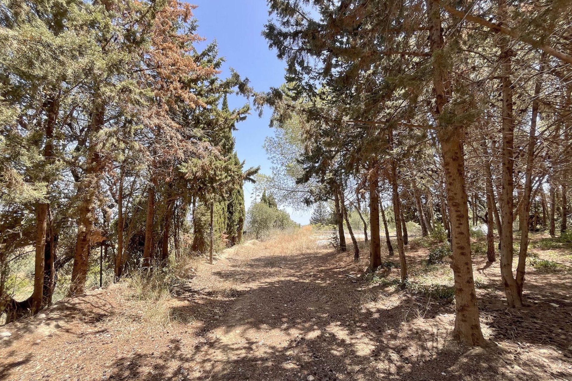 Resale - Commercial - Alhaurín de la Torre