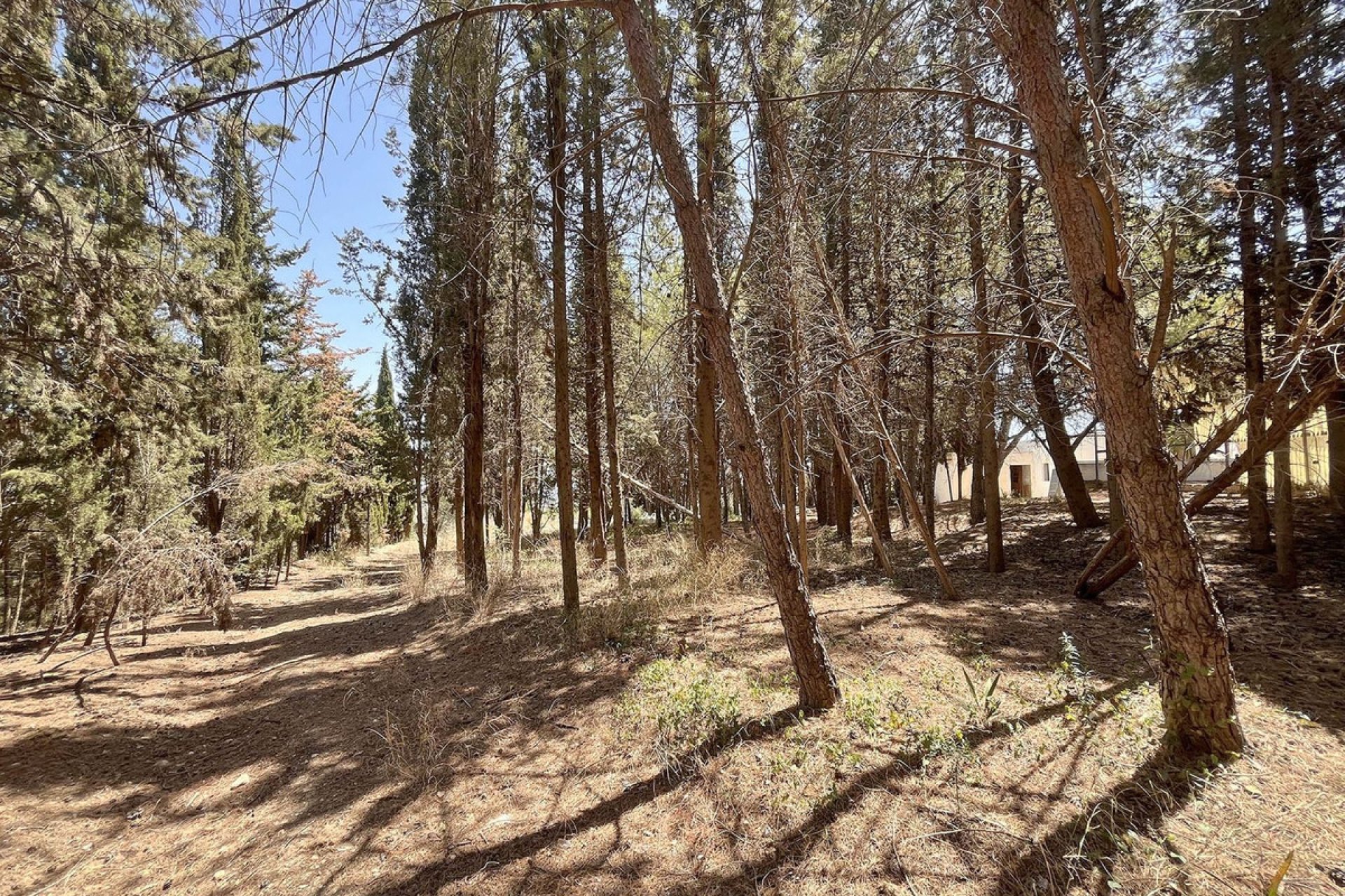 Resale - Commercial - Alhaurín de la Torre