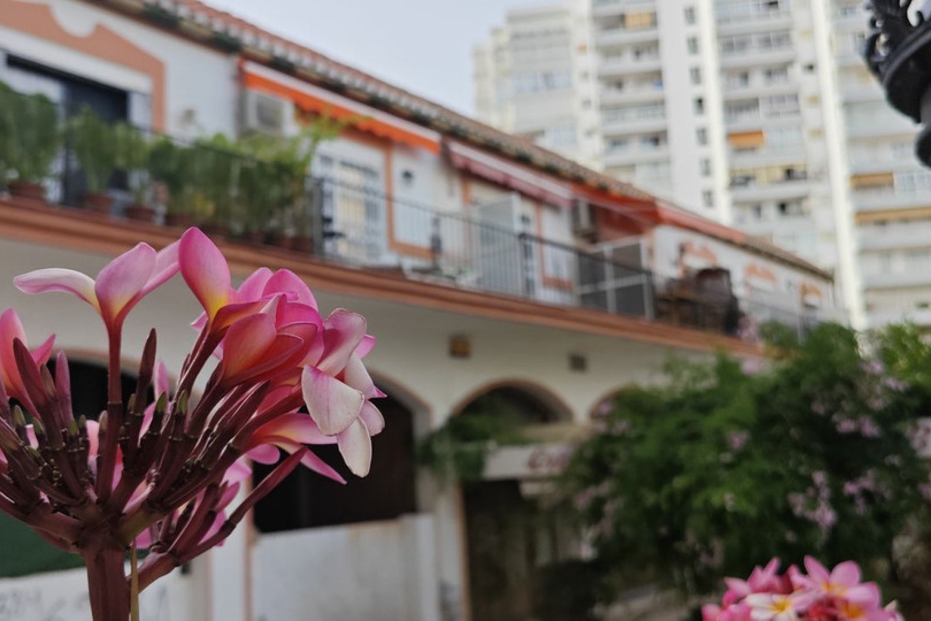 Resale - Ground floor apartment - Benalmádena - Benalmadena Costa