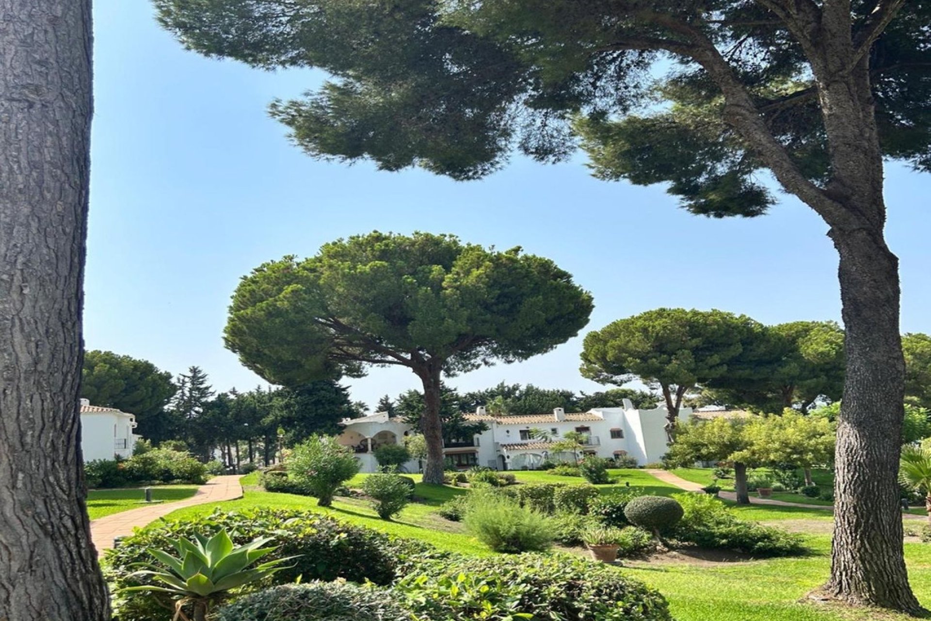 Resale - Ground floor apartment - Estepona - Benavista