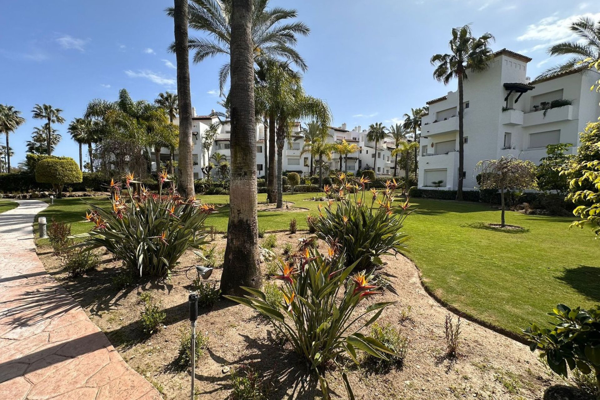 Resale - Ground floor apartment - Estepona - Costalita