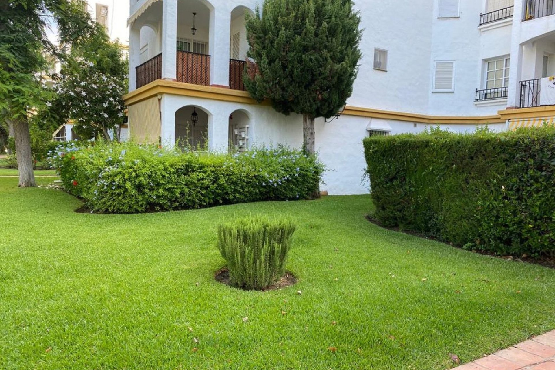 Resale - Ground floor apartment - Estepona - Diana Park