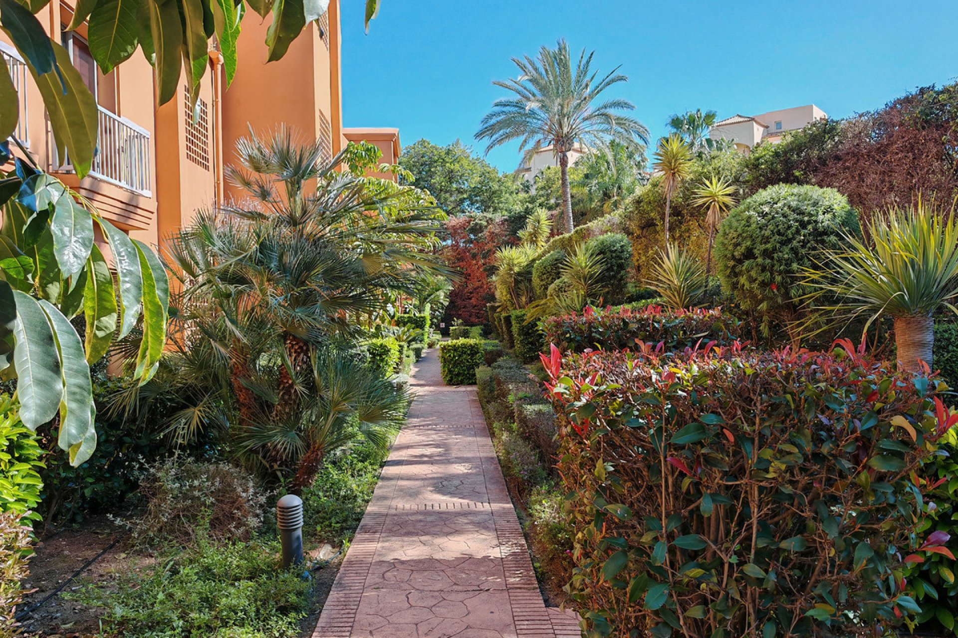 Resale - Ground floor apartment - Estepona - Estepona Centro