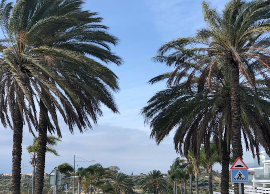 Resale - Ground floor apartment - Estepona - Estepona Centro