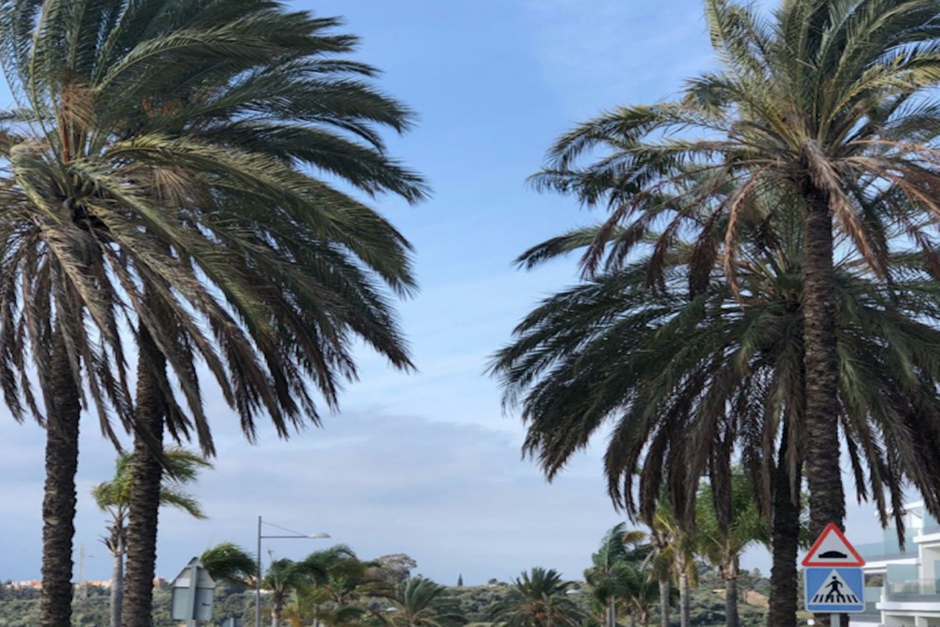 Resale - Ground floor apartment - Estepona - Estepona Centro