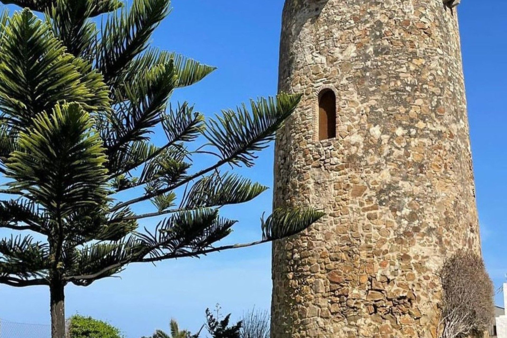 Resale - Ground floor apartment - Estepona - Estepona Centro