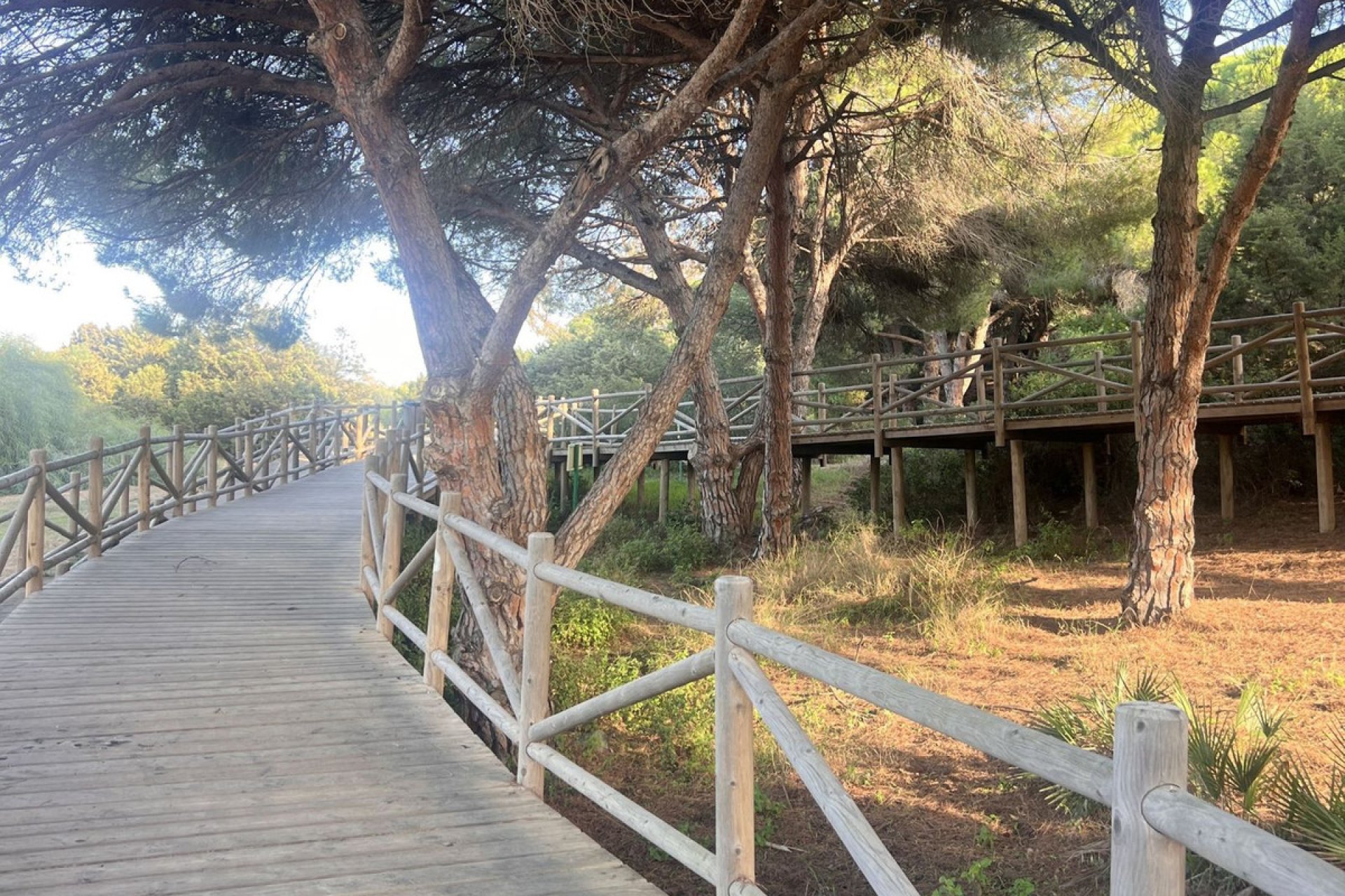 Resale - Ground floor apartment - Marbella - Carib Playa