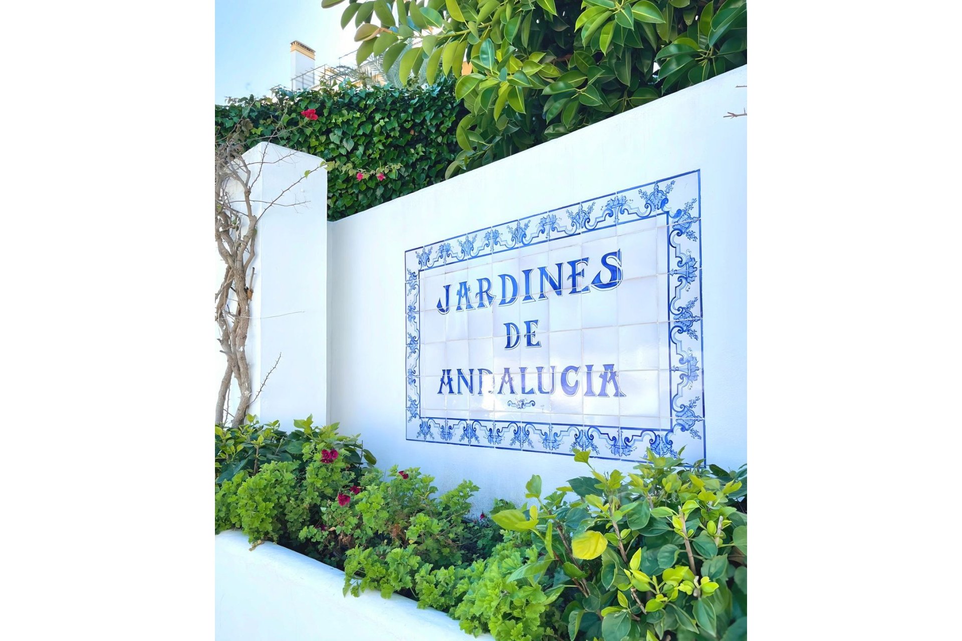 Resale - Ground floor apartment - Marbella - Nueva Andalucia