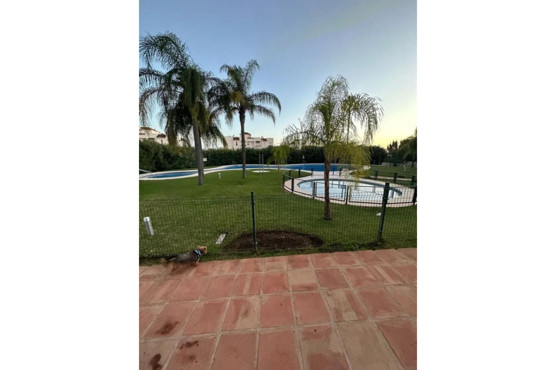Resale - Ground floor apartment - Marbella - Nueva Andalucia