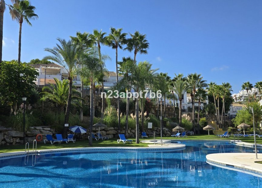 Resale - Ground floor apartment - Marbella - Nueva Andalucia