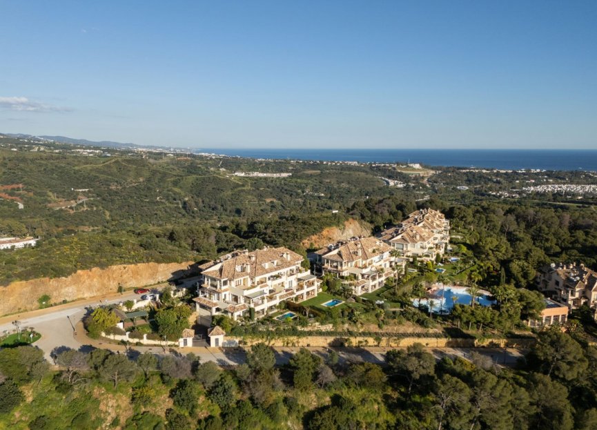 Resale - Ground floor apartment - Marbella - Nueva Andalucia
