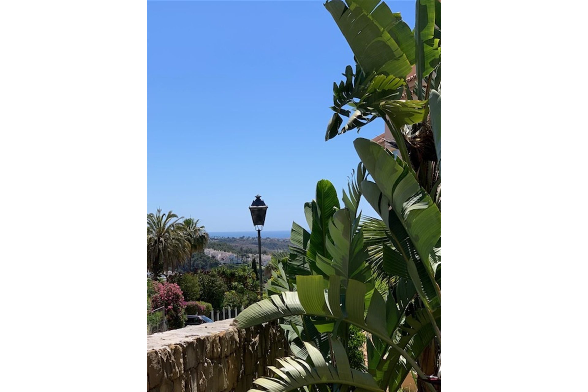 Resale - Ground floor apartment - Marbella - Nueva Andalucia