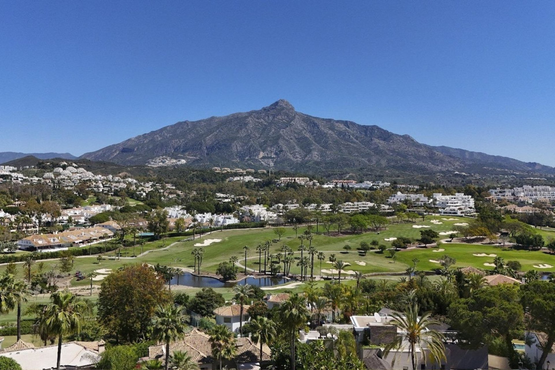 Resale - Ground floor apartment - Marbella - Nueva Andalucia