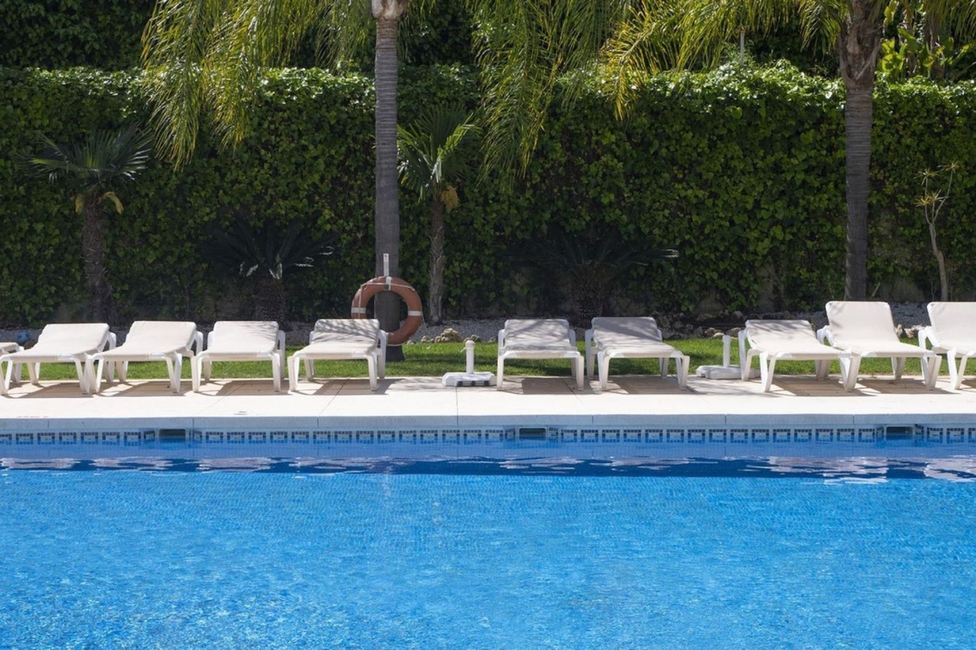 Resale - Ground floor apartment - Marbella - Nueva Andalucia