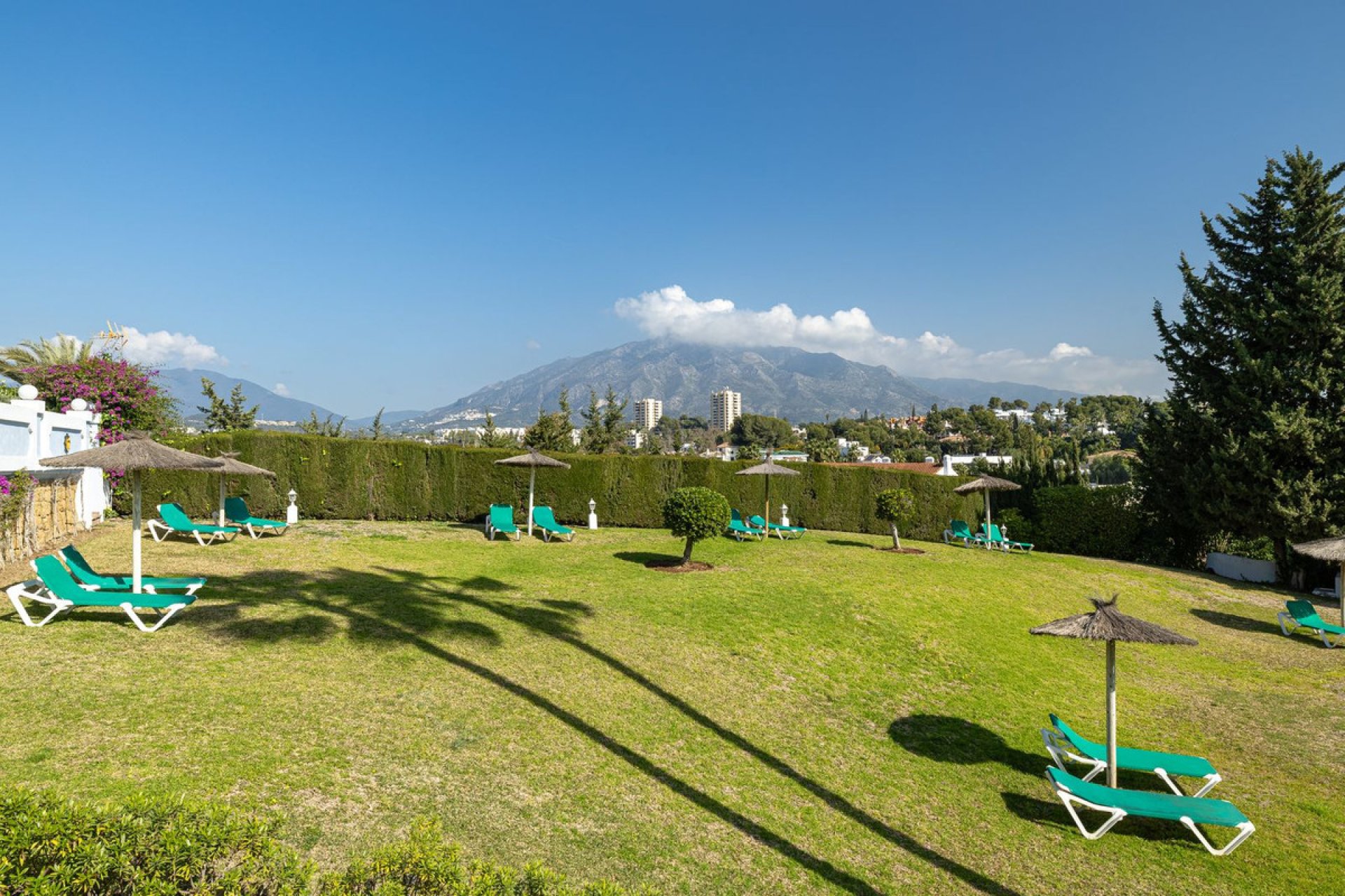 Resale - Ground floor apartment - Marbella - Nueva Andalucia