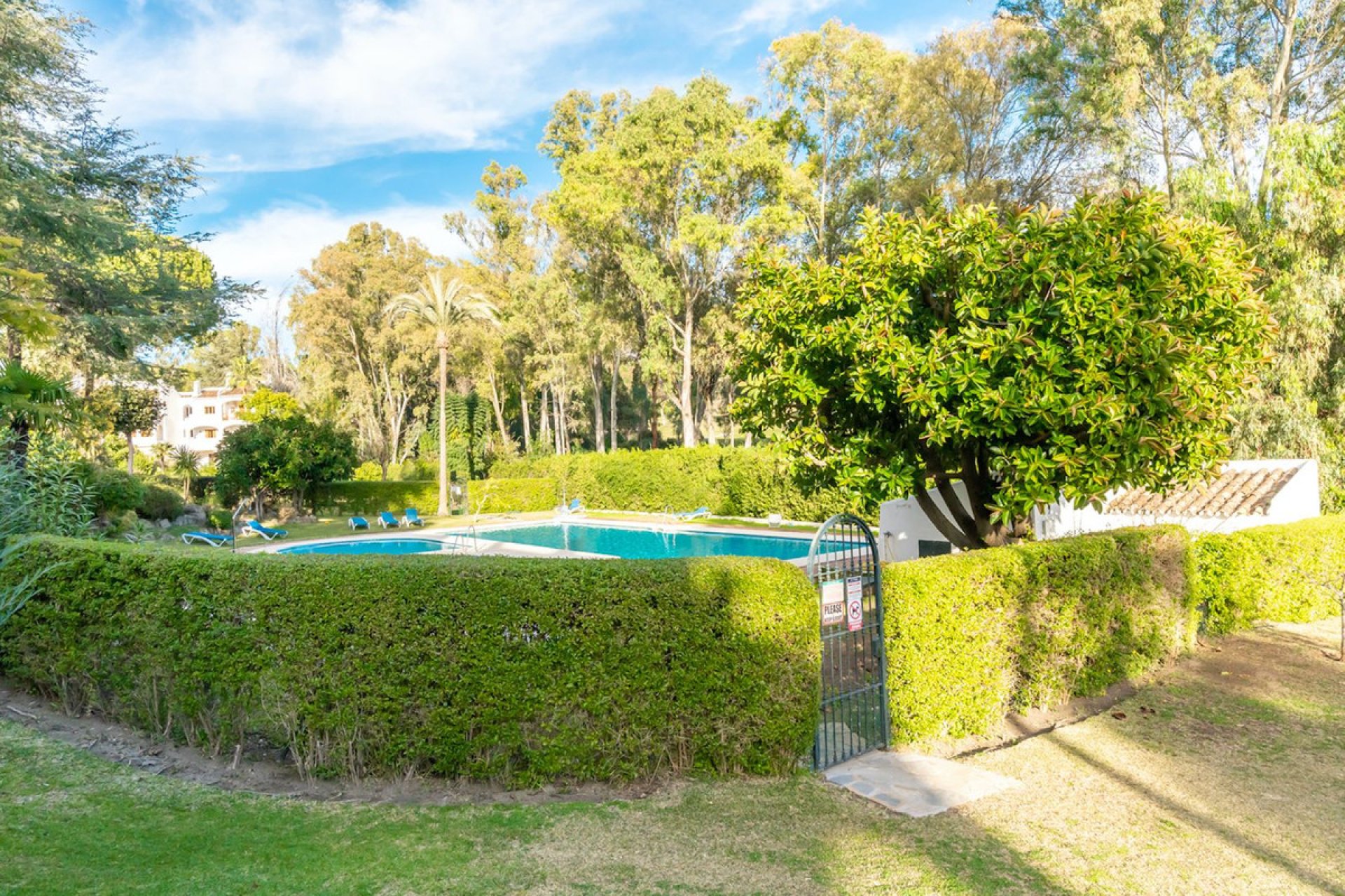 Resale - Ground floor apartment - Marbella - Nueva Andalucia